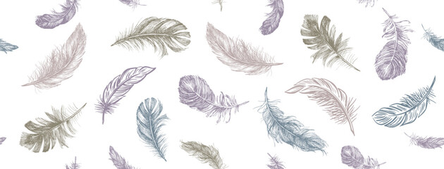 Feather Pattern, set on white