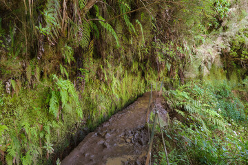 Waterfall in the Levada of Caldeirao Verde, Madeira (Portugal) Fantastic trekking footpath in mountains and rainforest.