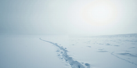 Minimalist snowy tundra with a single animal track for exploration and winter visuals. A vast, empty tundra covered in pristine