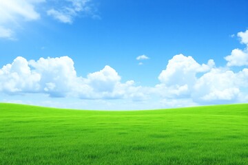 Fototapeta premium green field with a blue sky and clouds in the background