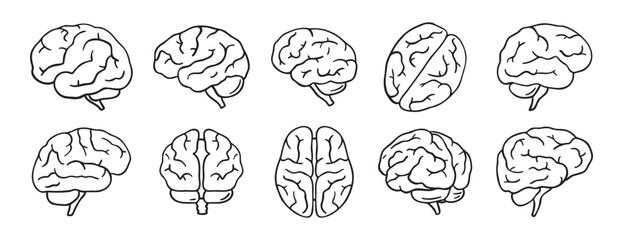 brain icon doodle hand drawn set. Outline drawing brain line clipart symbol collection