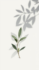 A visual representation of the Mediterranean Diet with a branch of olive leaves against a gradient background.