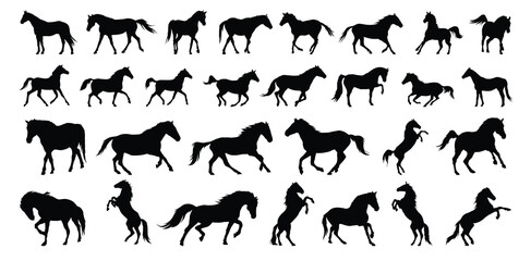 horse silhouette set. horse different poses isolated farm animal silhouette icon vector collection
