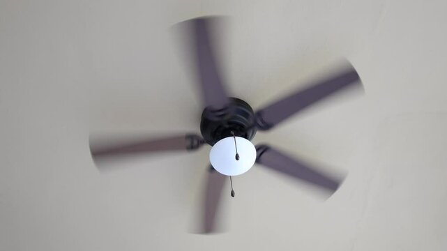 Ceiling fan spinning brown fin white lantern