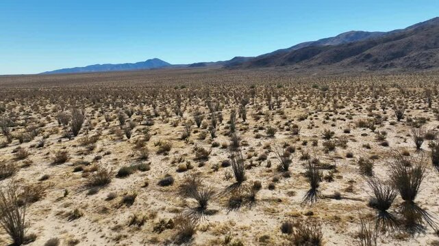 Aerial drone cinematic video of famous Anza Borrego desert and State Park, California, United States of America