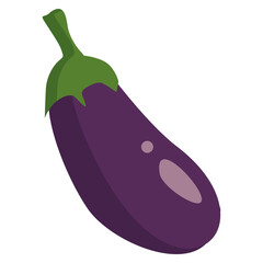 eggplant vector illustration