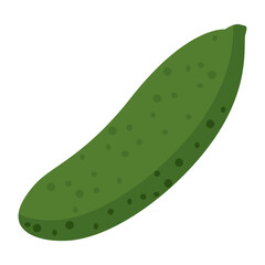 Illustration of a Green Cucumber