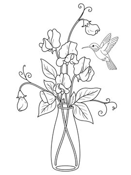hummingbird sweet pea flowers in glass vase clip art preview