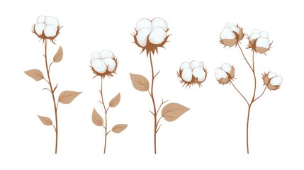 Cotton plant stems, white fluffy bolls, leaves, isolated, botanical illustration, textile design
