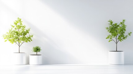 Modern minimalist interior with potted plants