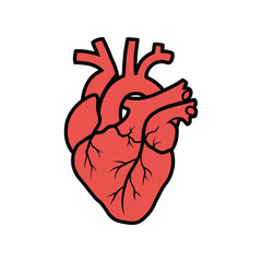 A Human Heart hand drawn vector art illustration