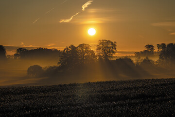 sunrise over the field
