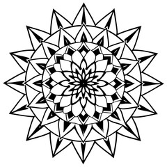 Rainforest mandala pattern