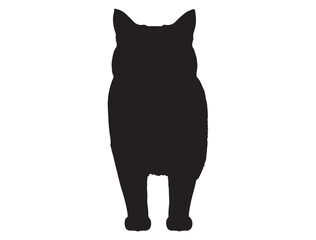 CAT SILHOUETTE WHITE BACKGROUND