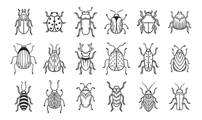 Obraz premium Garden bugs hand drawn outline doodle icon set. Garden bugs drawing elements simple line beetle clipart