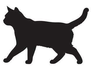 CAT SILHOUETTE WHITE BACKGROUND