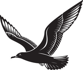 Sea-gull bird silhouette vector design with white background.
