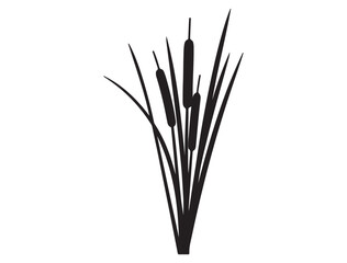  CATTAIL SILHOUETTE WHITE BACKGROUND