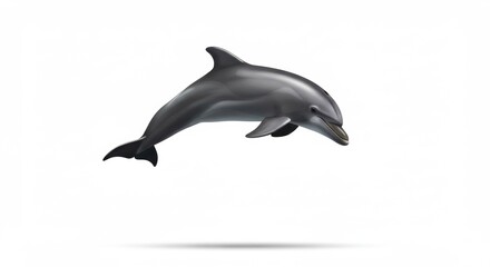 Fototapeta premium A single gray dolphin leaping upwards against a stark white background in a dynamic pose image