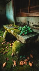 Aged stone bench in garden