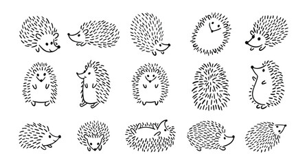Doodle hand drawn cute hedgehog set. Hand drawn adorable hedgehog collection. Outline drawing for children. © Yanka
