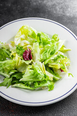 Salad mixed leaves iceberg, batavia, lettuce, radicchio, romano, frisee appetizer vegetables dish organic fresh tasty gourmet food background on the table copy space keto paleo diet vegetarian vegan