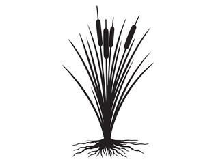  CATTAIL SILHOUETTE WHITE BACKGROUND