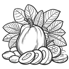 Pawpaw minimalist black and white silhouette drawing vector illustration