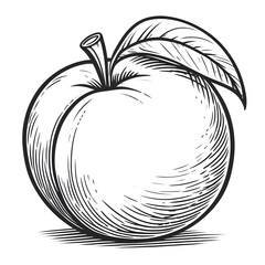 Peach minimalist black and white silhouette drawing vector illustration