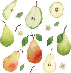 pear watercolor