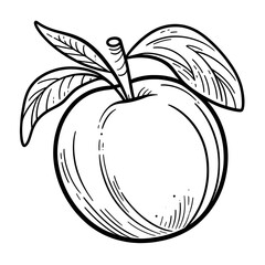 Plum minimalist black and white silhouette drawing vector illustration