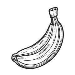 Banana minimalist black and white silhouette drawing vector illustration
