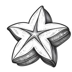Starfruit Carambola minimalist black and white silhouette drawing vector illustration