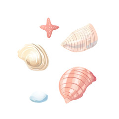 Hand Drawn Ocean Seashells and Starfish Clipart. Pastel Marine Shells and Starfish Elements Set