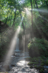 Fototapeta premium 光芒射す長野県軽井沢の竜返しの滝