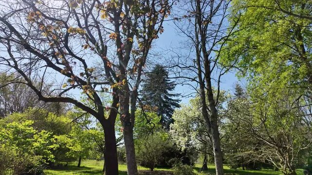Ampfield Hampshire England UK.  23.04. 2025. Video. Landscape springtime view from a  moving golfcart in Sir Harold Hillier gardens near Romsey Hampshire UK.
