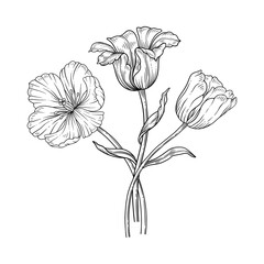 Obraz premium Tulip line art bouquet. Beautiful blooming flowers with leaves, graceful thin line, isolated on white background. Drawing element for Easter, Mother Day, Canadian Tulip Festival. Vector illustration