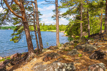Ostseeküste mit Felsen und Bäumen bei Figeholm in Schweden
