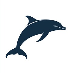 Obraz premium Dolphin leaping, ocean background, marine wildlife, nature illustration (2)