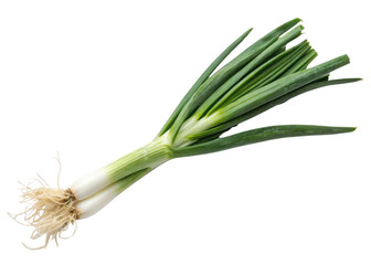 Fresh spring onion with green leaves and white bulbs isolated on transparent background perfect for healthy cooking and vibrant meals