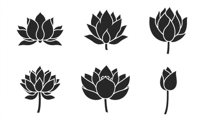 Obraz premium Six lotus flower silhouettes; various bloom stages; white background; for design