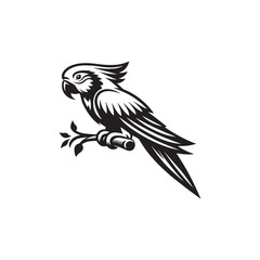 Fototapeta premium bird, eagle, vector, animal, illustration, silhouette, flying,