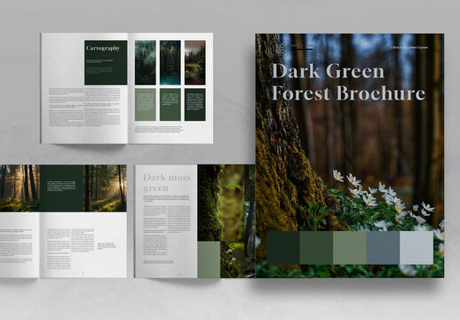 Dark Green Forest Brochure Layout