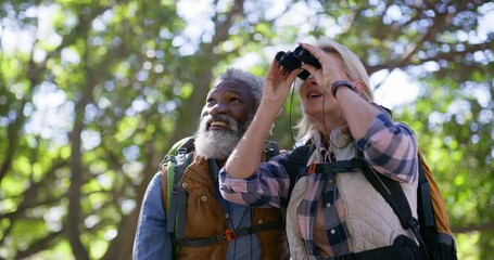 Senior couple, bird watching and hiking with adventure, travel and forest with binoculars. Outdoor, healthy old man or mature woman with fitness, interracial or woods with journey, nature or trekking - Powered by Adobe