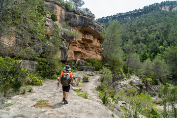 Hiker walking outdoors on a sunny summer day