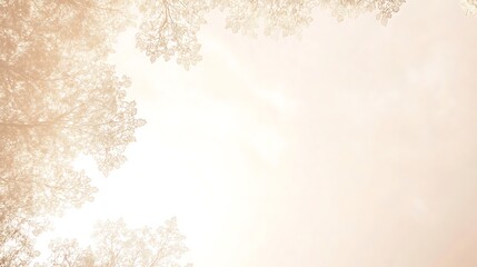 Obraz premium Sunlit Tree Branches with Soft Light.