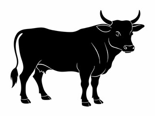 black and white cow