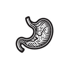 Fototapeta premium snake, animal, vector, illustration, cartoon, symbol, design, 