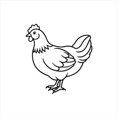 chicken vector