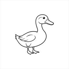 duck vector
